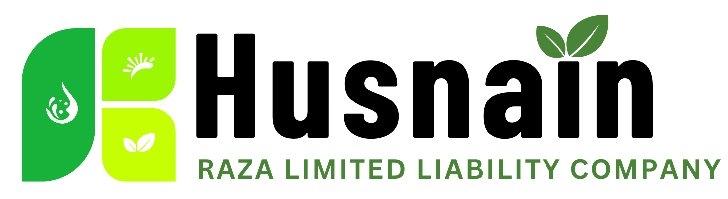HUSNAIN RAZA LLC